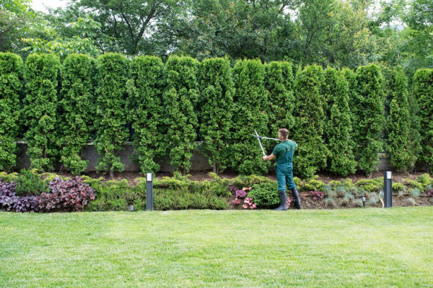 Best Lawn Irrigation Installation and Maintenance  in Kingstowne, VA